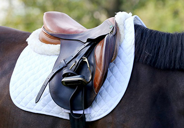 Branchenlösung Reitsport