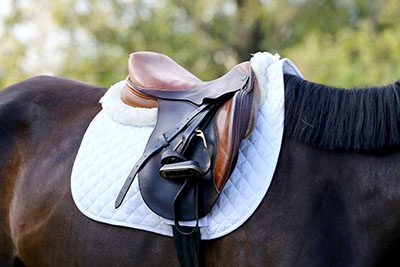 Waschmaschine für Pferdedecken und Reitsport-Equipment